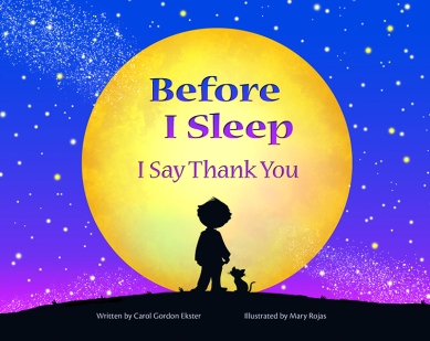 Front Cover - Before I Sleep  copy