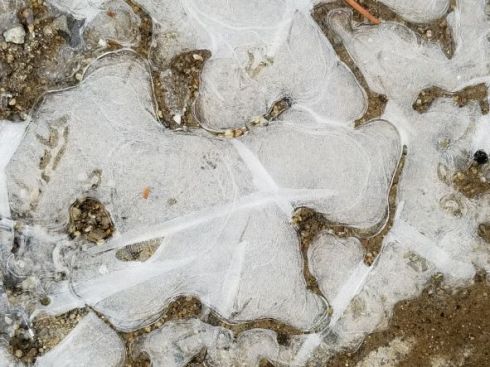 Different shapes of ice with clear cracks between the uneven shapes