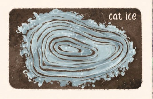 Drawing of cat ice looks like rings of a tree, one surrounding another until the edge, which is like the edge of clouds, random and uneven